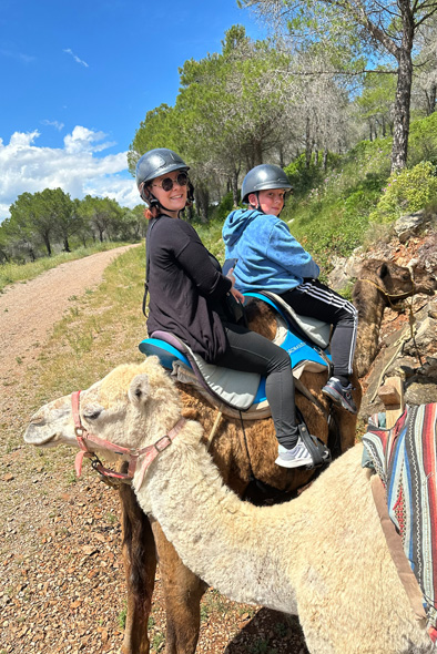 à dos de dromadaires dans la guarrigue