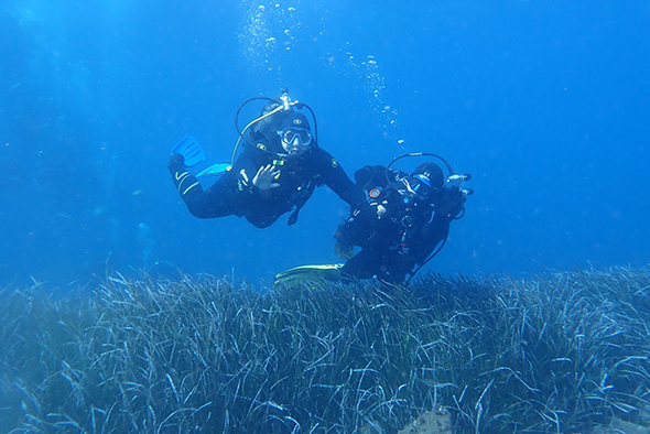 Sortie sur l’île de Porquerolles