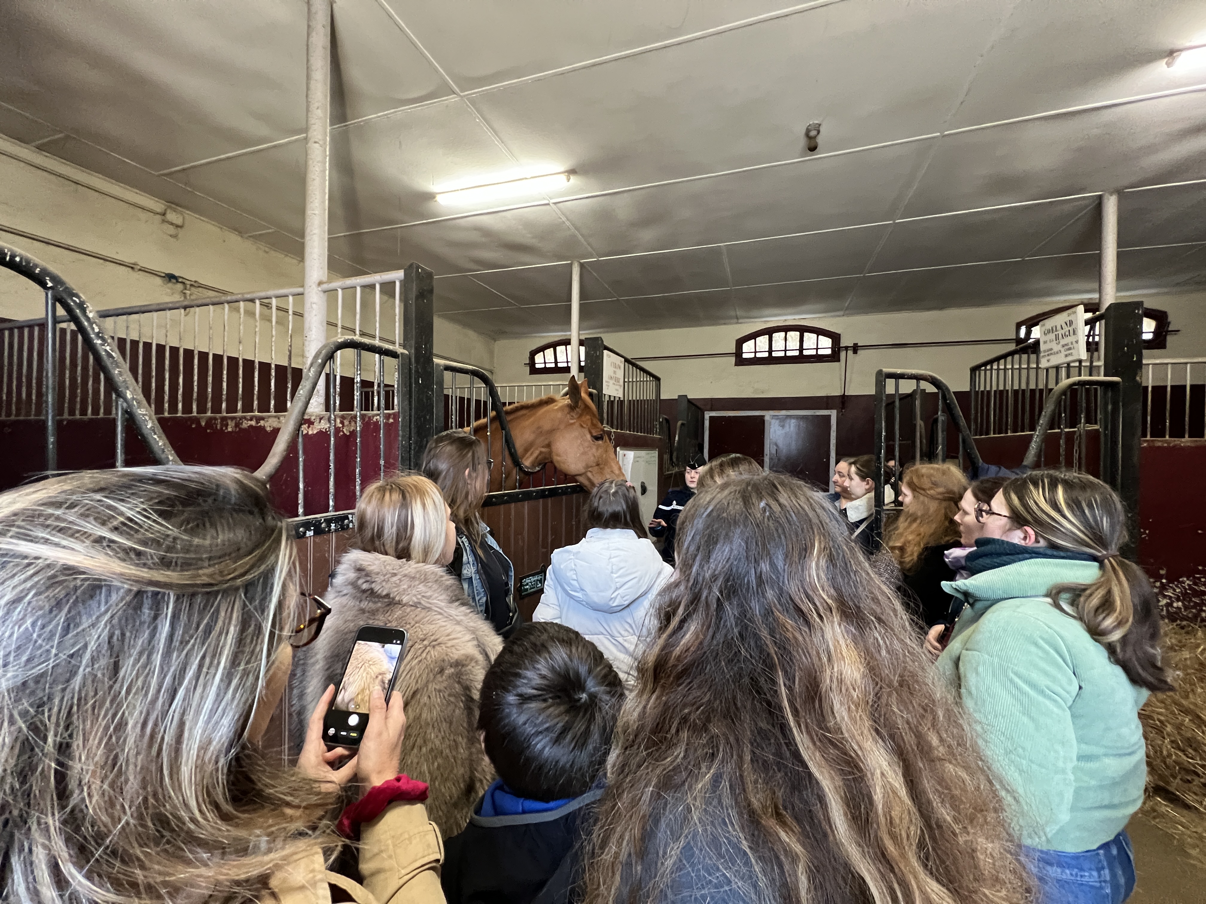 Nos jeunes protégés regardant un cheval de la garde républicaine